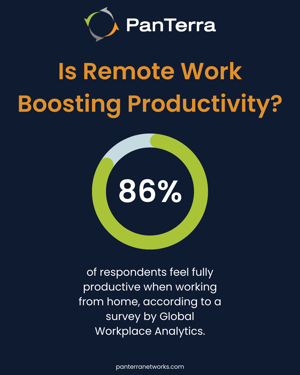 Infographic about remote work, reflecting on whether this arrangement enhances productivity.