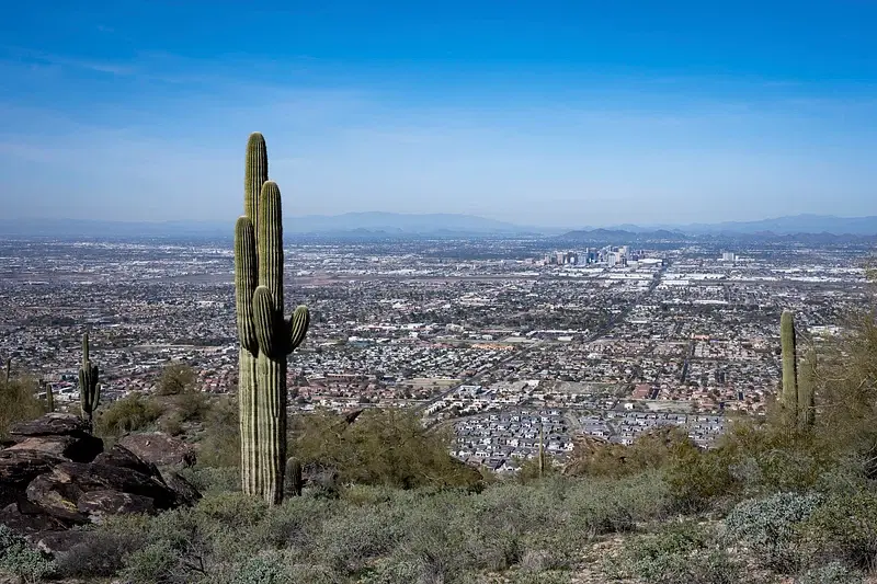 Exploring Phoenix Elevation and what it means for businesses